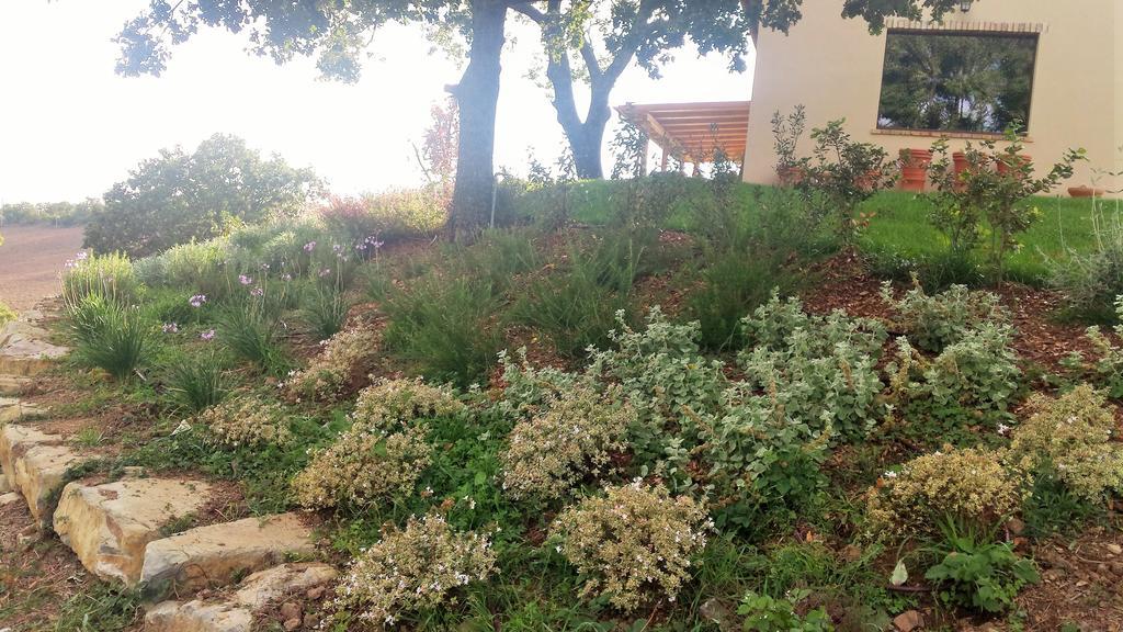 Agriturismo Sugheretello Semproniano Екстериор снимка