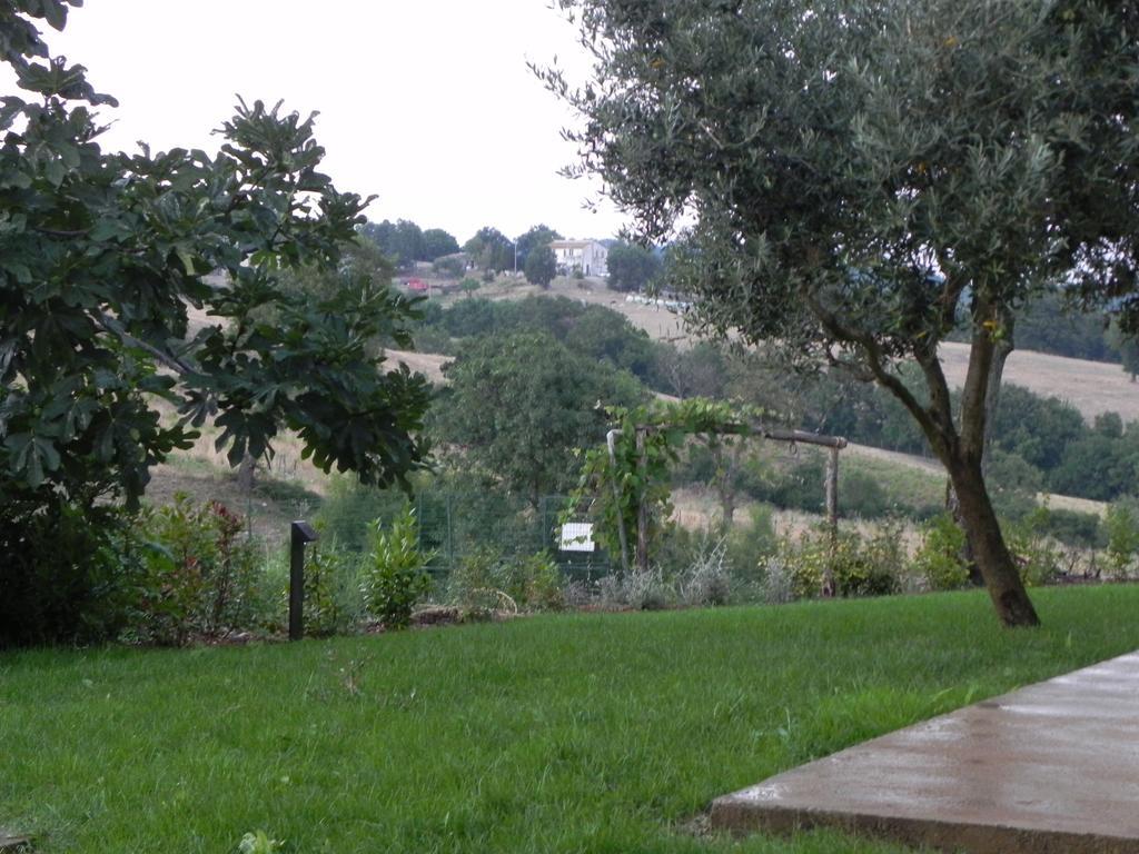 Agriturismo Sugheretello Semproniano Екстериор снимка