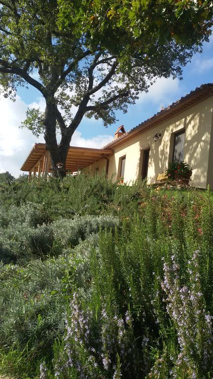 Agriturismo Sugheretello Semproniano Екстериор снимка